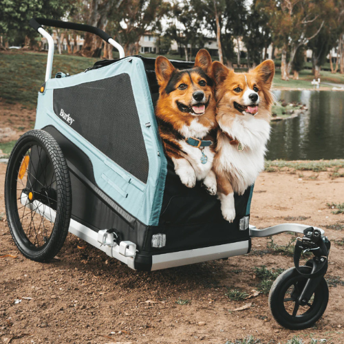 PawVoyage