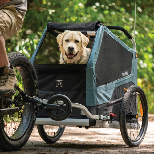 PawVoyage