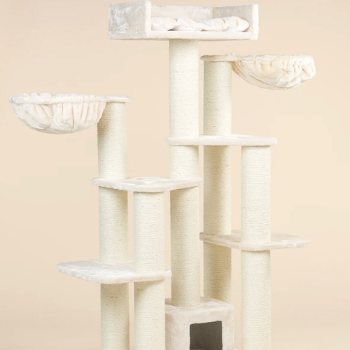 Pawdise